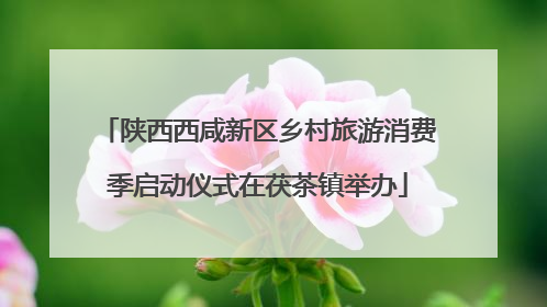 陕西西咸新区乡村旅游消费季启动仪式在茯茶镇举办
